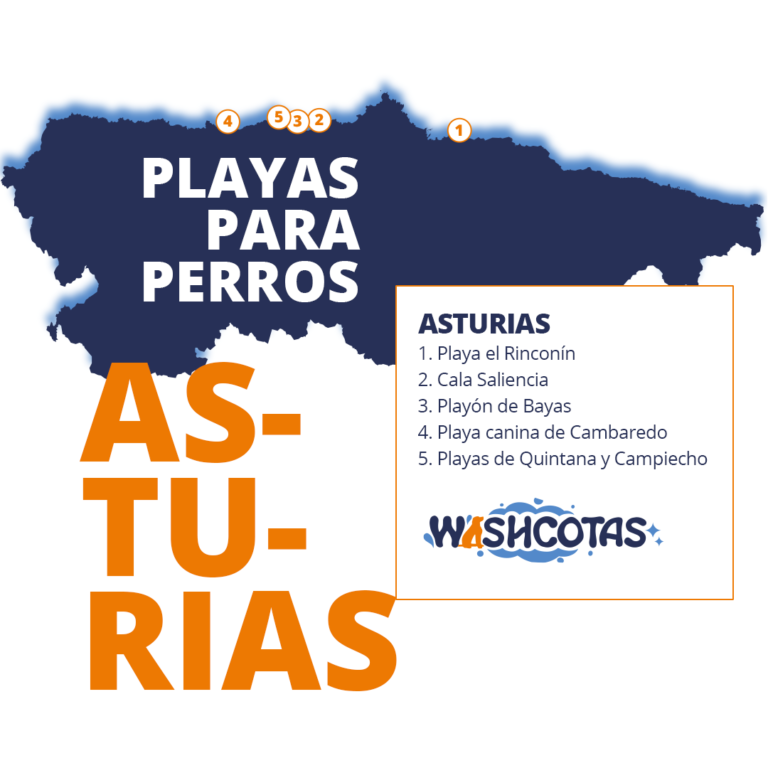 Playas para perros en Asturias